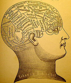 250px-phrenology1