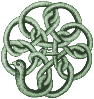 serpentcoiled